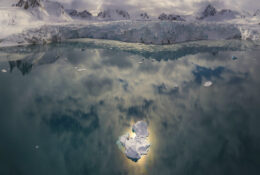 Spitsbergen_2025 (53/78)